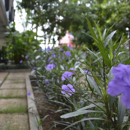 Bamboo Garden Boutique Hotel Siem Reap Exterior photo